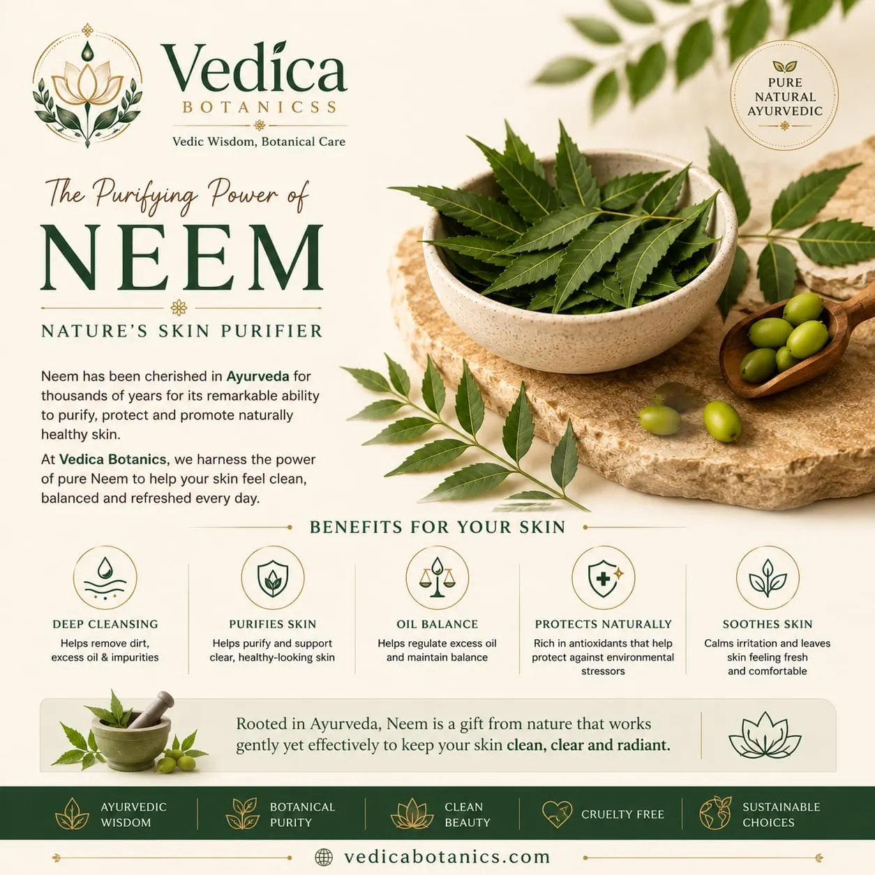Neem Ayurvedic ingredient for clear skin by Vedica Botanics