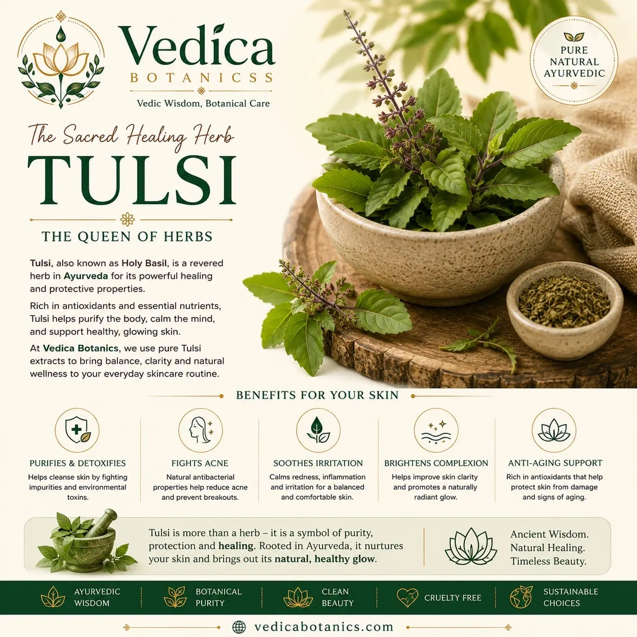 The Sacred Healing Herb Tulsi blog image by Vedica Botanics